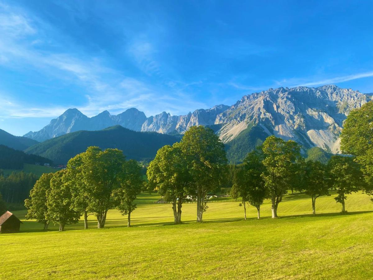 Appartement Steinfisch Ramsau am Dachstein Exteriér fotografie