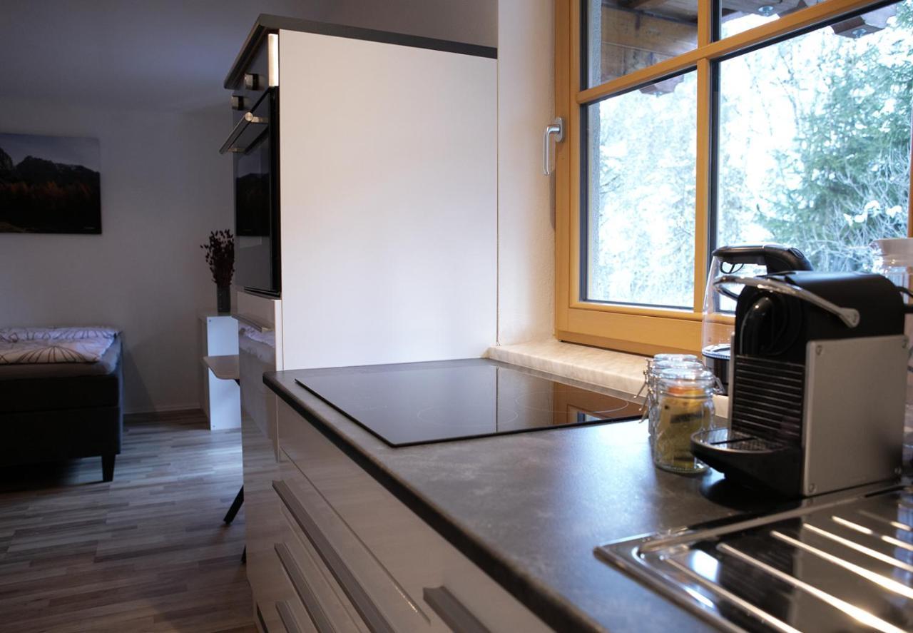 Appartement Steinfisch Ramsau am Dachstein Exteriér fotografie