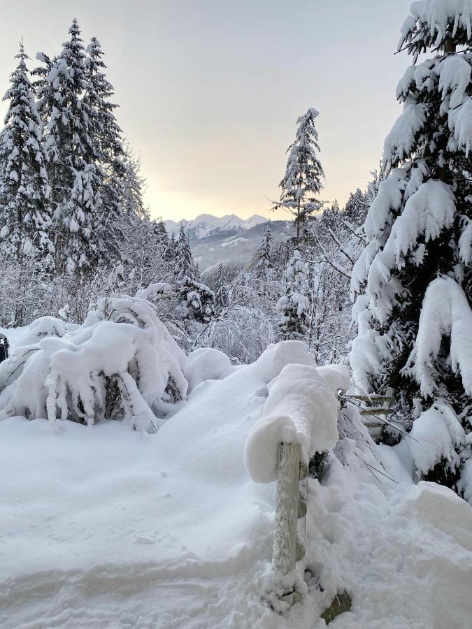 Appartement Steinfisch Ramsau am Dachstein Exteriér fotografie