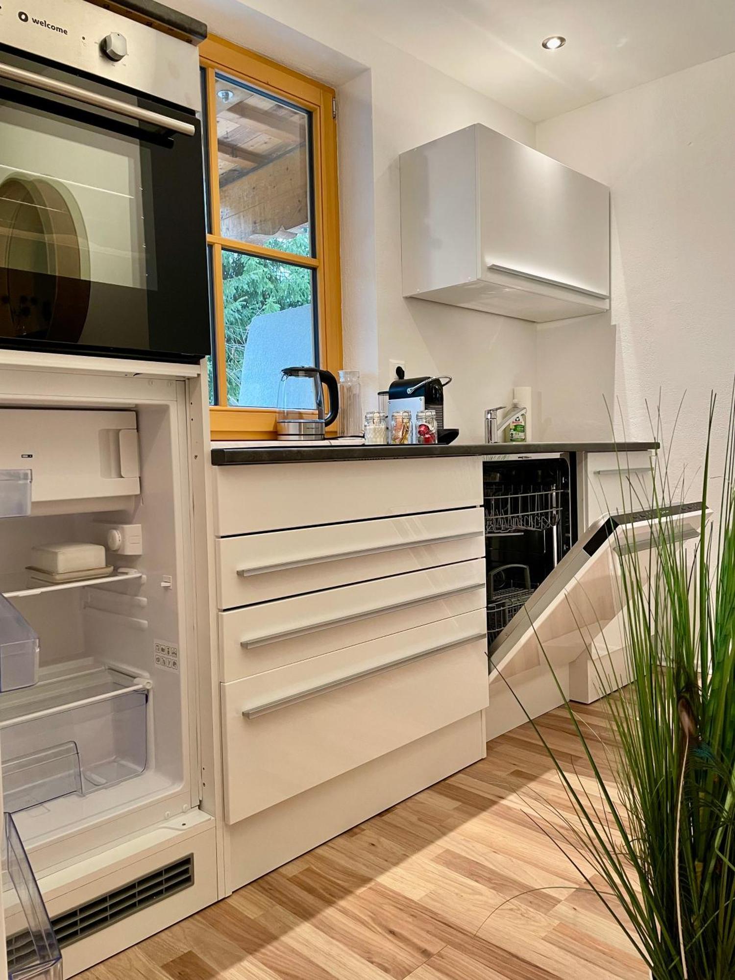 Appartement Steinfisch Ramsau am Dachstein Exteriér fotografie